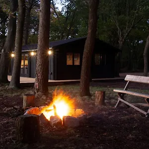 The New Forest Cabin Bransgore